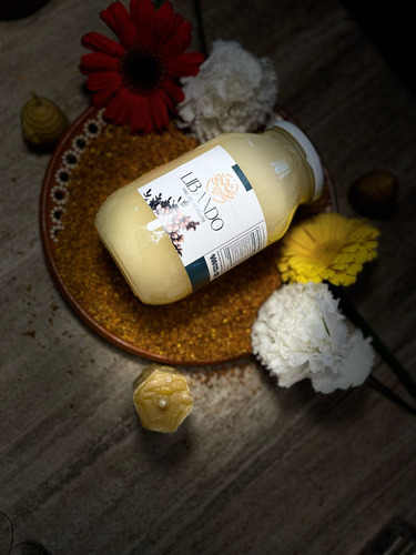Miel De Abeja 100% Pura. Mezquite 1300gr, Libando