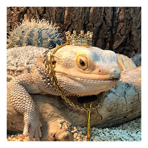 Kunbiuh Juego De 2 Collares Con Corona De Lagarto, Traje De