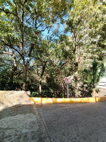 Imagen 5 de 9 de Terreno - Amapas