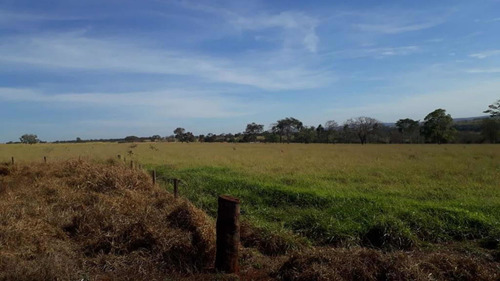 Imagem 9 de 10 de Fazenda Dupla Aptidão Município Quirinopolis
