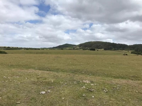 Chacras De 5 Hectareas Sobre Ruta 12