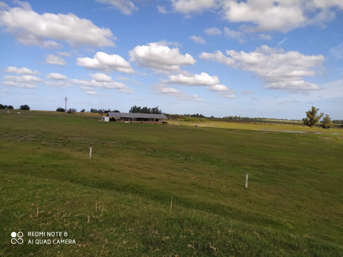 Vendo Buen Campo Con Casa Y Galpón Tajamarar Para Riego!!!