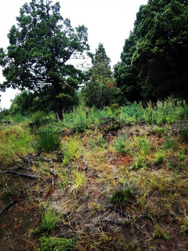 Terreno Lote En Venta Ubicado En Villa Lago Gutierrez, Bariloche