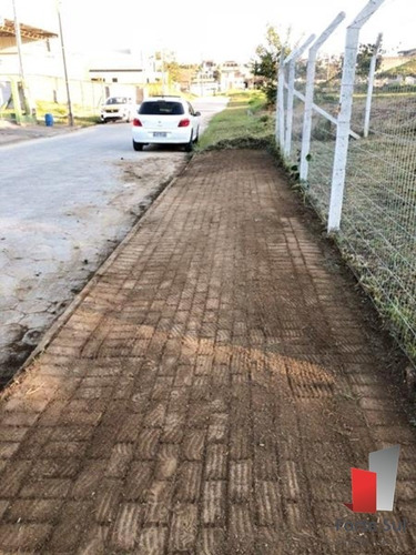 Imagem 5 de 5 de Terreno - Tr072 - 32608425