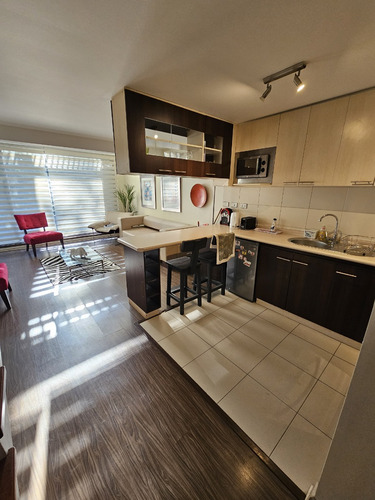 Se Arrienda Departamento Duplex Amoblado Concepción