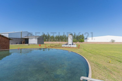 Imagen 10 de 30 de Venta - Galpon - Planta Industrial - Zarate