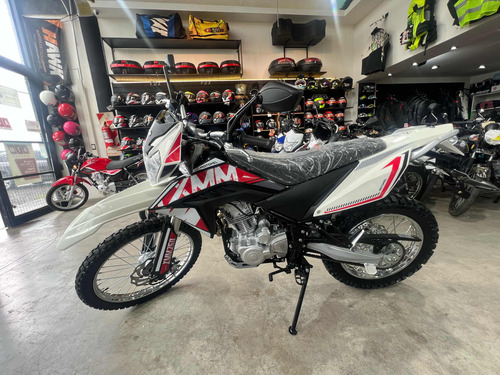 Motomel Xmm 250