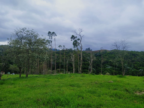 Imagem 8 de 10 de A30 Lote Com Arborização