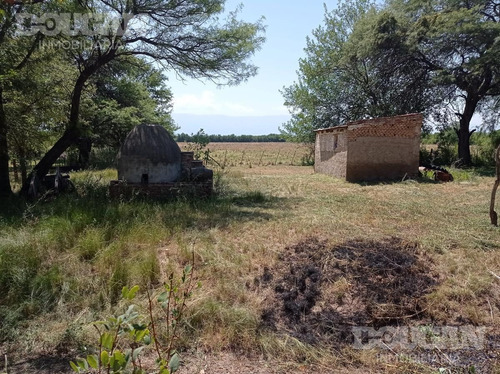 Imagen 13 de 27 de Campo - Punta De Agua