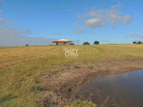 Chacra En Venta Punta Del Este 1 Dormitorio- Ref: 4768
