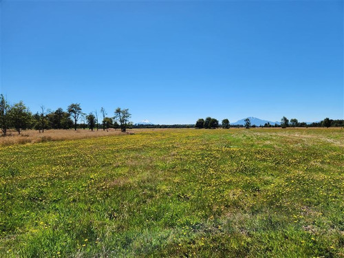 Imagen 2 de 12 de Campito En Venta En Puerto Varas