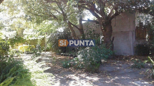 Imagen 11 de 11 de Casa En Punta Del Este, Pinares