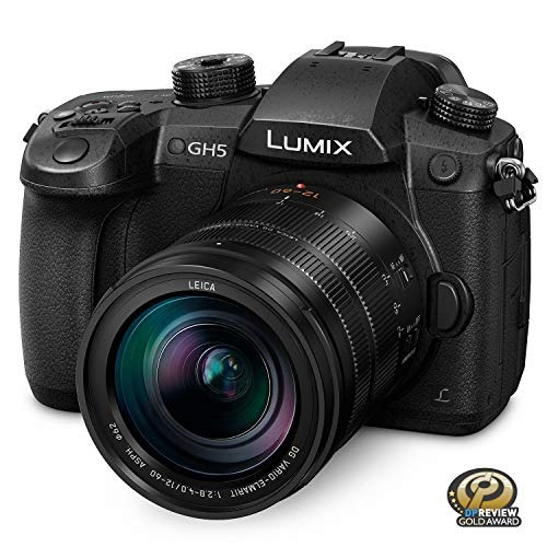 Camara Digital Panasonic Lumix Gh5 4k Mirrorless Camera With