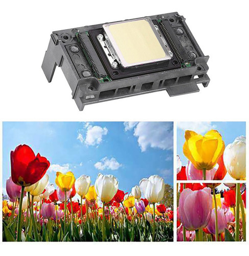 Impresora De Boquillas De Seis Colores For Xp600 Xp601 Xp950