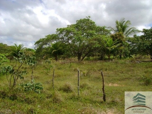 Imagem 1 de 4 de Terreno A Venda Lagoa Do Bonfim, Nísia Floresta