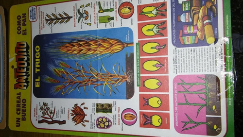Lote 6 Laminas Anteojito,excelentes! Cartón 26x42 Leer! (Usado)
