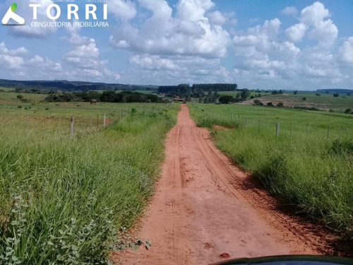 Imagem 8 de 10 de Fazenda À Venda Região De Bauru - Fa00132 - 69211844