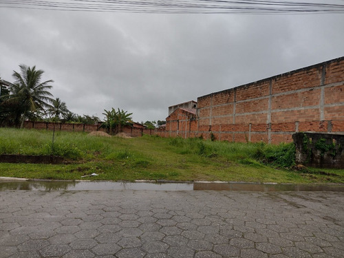 Imagem 2 de 5 de Área À Venda, 2768 M² Por R$ 800.000,00 - Morro Do Algodão - Caraguatatuba/sp - Ar0011