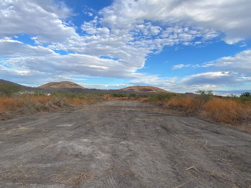 Terreno Plano En Venta En Atlacholoaya, Xochitepec, Morelos