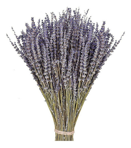 Flores Secas De Lavanda De Ornamento 50pcs