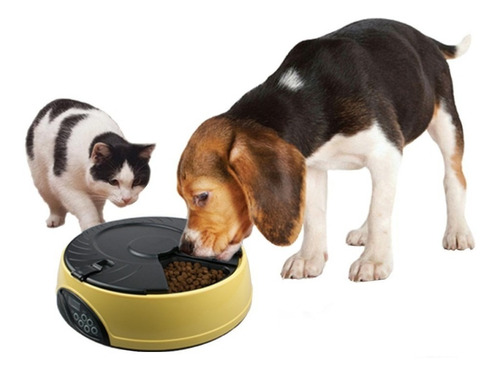 Alimentador Automático Pet Com Temporizador Para Cães/ Gatos