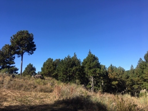 Imagen 6 de 10 de Venta De Fracción De 9 Hectáreas En Potrero De Garay, Casas Y Club De Montaña Inv0018