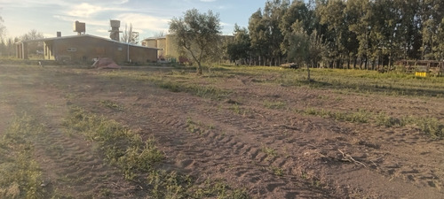 Importante Terreno Con Casa Nueva, En San Rafael Mendoza.