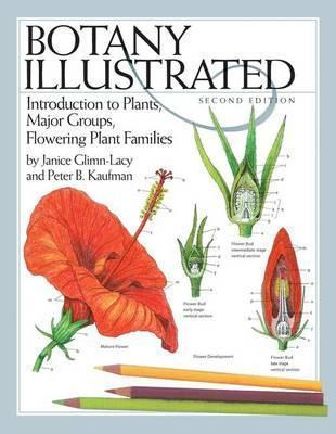 Libro Botany Illustrated : Introduction To Plants, Major ...