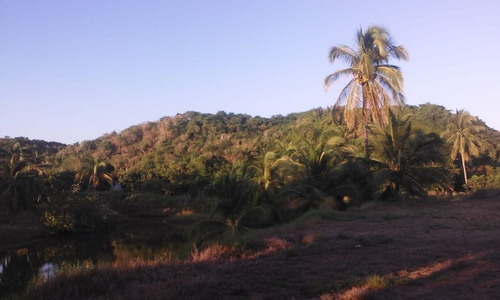 Imagen 11 de 14 de Terreno En Venta Las Brisas