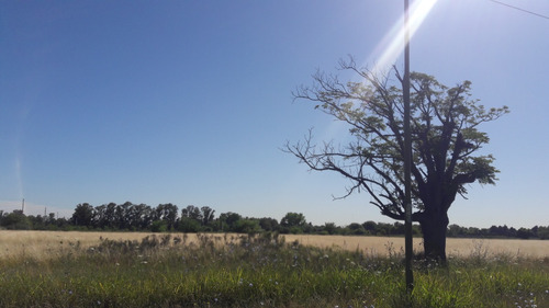 Imagen 8 de 8 de Alquiler Campo Centro Mariano Acosta, Muy Bueno