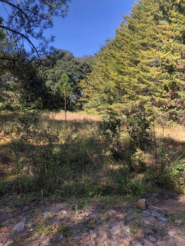 Imagen 7 de 12 de Venta De Terrenos En Amealco De Bonfil, Querétaro
