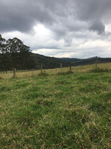 Imagem 6 de 14 de C03- Promoção Terrenos De 10.000m² Em Igaratá