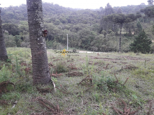 Imagem 8 de 9 de Chácara Para Venda Em Papanduva Da Serra São José Dos Pinhais-pr - 5847
