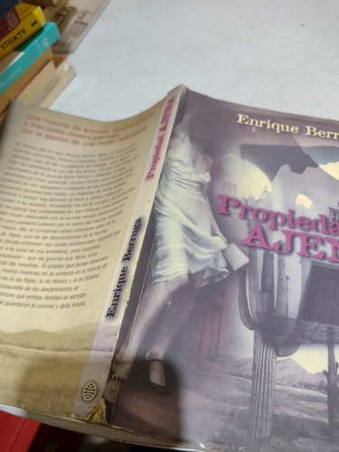 Propiedad Ajena Enrique Berruga (Usado)