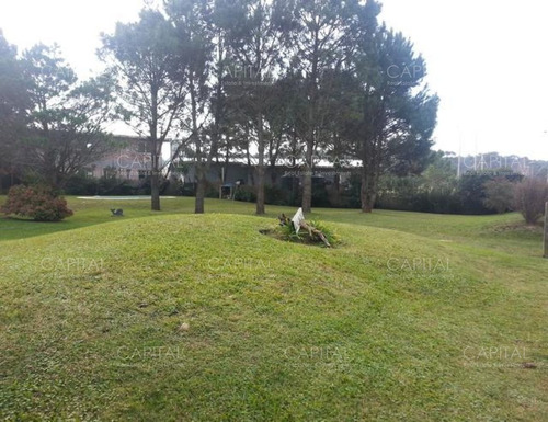 Imagen 3 de 23 de Casa De Tres Dormitorios A Metros Del Mar - Tio Tom