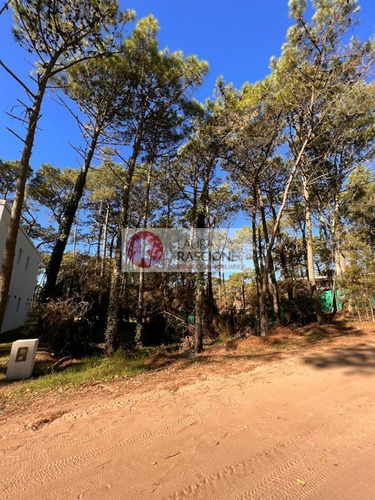 Venta De Lote En Carilo