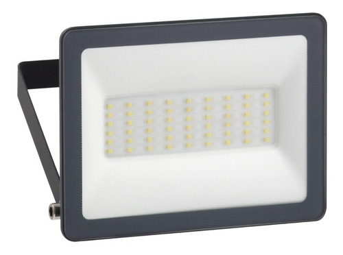 Reflector Floodlight Mureva 30w Ip65 Luz Blanca Schneider