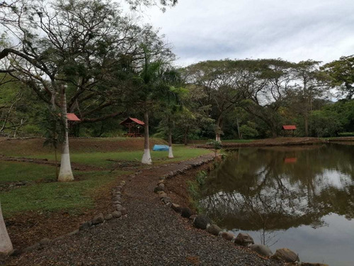 Imagen 7 de 14 de Lotes P/quintas Desde ¢24.5 Millones, 5.000 M2, San Mateo