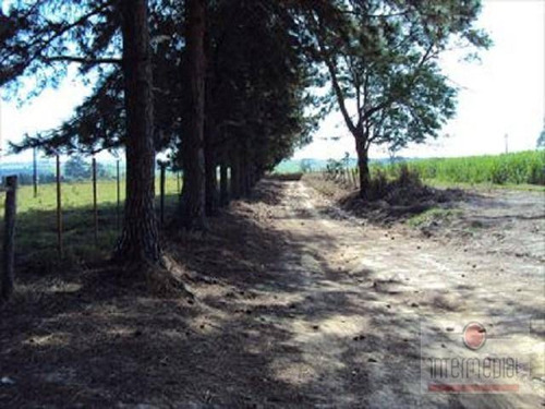 Sítio Rural À Venda, Anísio De Moares, Boituva. - Si0049