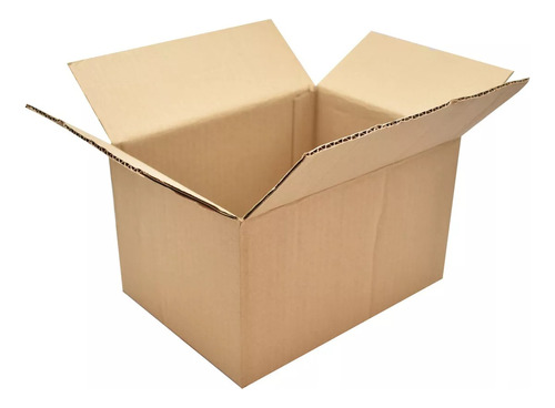 25 Cajas De Carton Empaque E-commerce 16x26x19cm Ch1