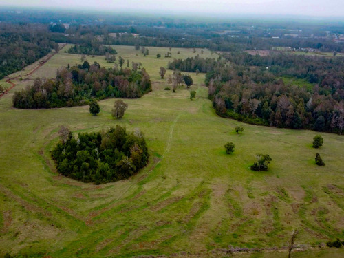 Imagen 13 de 13 de Campo Subdividido De 49,2ha - Villarrica