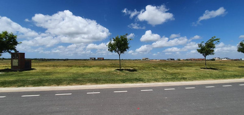 Imagen 5 de 9 de Terreno - Costas