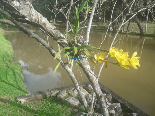 Imagem 6 de 30 de Chácara À Venda, 5 Quartos, 3 Suítes, Santa Clara - Jundiaí/sp - 6635
