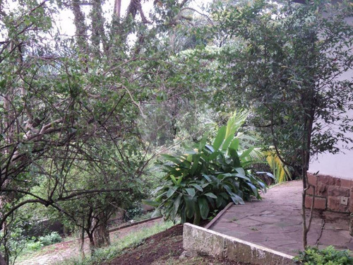 Imagem 5 de 30 de Terreno Para Incorporação - 5500 Metros - Nova Cantareira - Tucuruvi - Reo55184