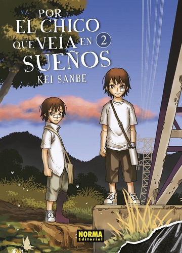 Manga Por El Chico Que Veia En Sueños 2 - Editorial Norma