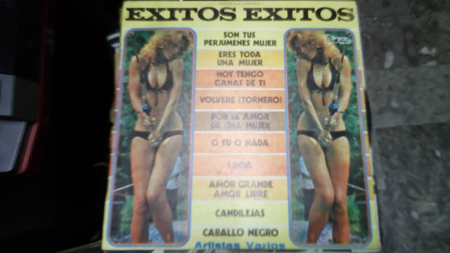Lp Exitos Exitos Artistas Varios En Acetato,long Play (Usado)