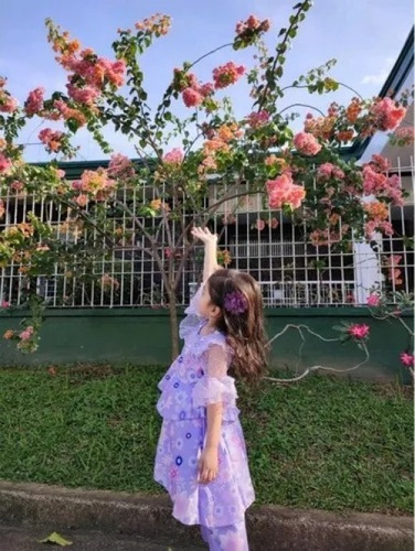 Imagen 8 de 8 de Disfraz De Princesa Isabela Madrigal Para Niños, 5 Piezas