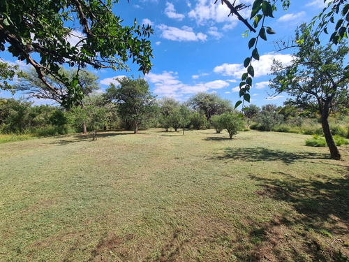 Vendo Lote En Carpinteria