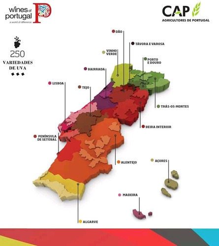 Vino Tinto Portugués Alves Vieira Alentejano