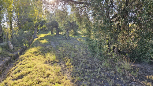 Gran Terreno O Lote De 2 Has En San Rafael Ideal Emprendimie